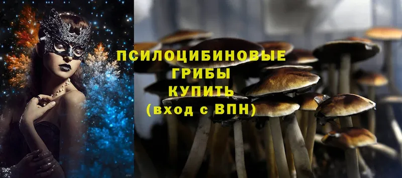 наркошоп  Лыткарино  Галлюциногенные грибы Magic Shrooms 